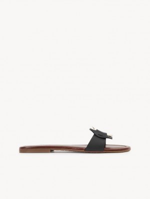 Chloe Chany Mule Flate Sko Svarte | CHE-SR14838