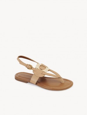 Chloe Chany Sandaler Brune | CHE-SR14824