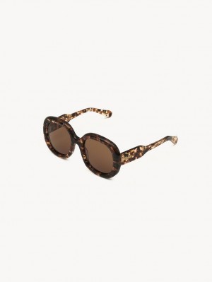 Chloe Gayia Solbriller Marble Havana | CHE-SR14578