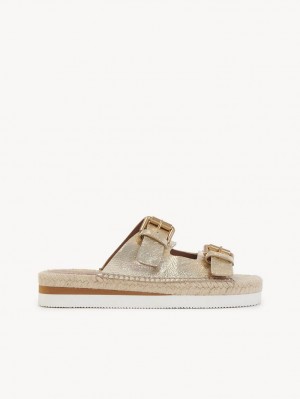 Chloe Glyn Platform Espadrille Sandaler Scarlatto | CHE-SR14831