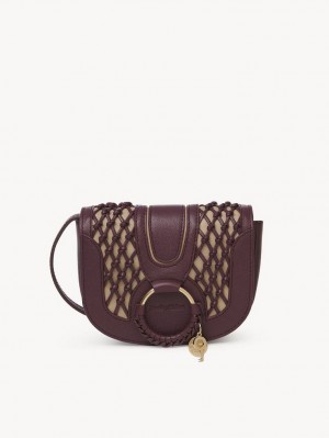 Chloe Hana Mini Vesker Brune | CHE-SR14759