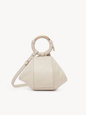 Chloe Hana Wristlet Crossbody Veske Beige | CHE-SR14720