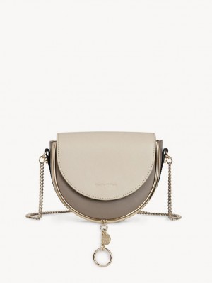 Chloe Mara Evening Mini Vesker Grå | CHE-SR14779