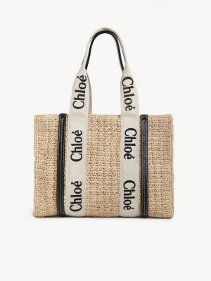 Chloe Medium Woody Tote Veske Brune | CHE-SR13368