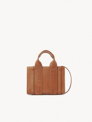 Chloe Mini Woody Crossbody Veske Brune | CHE-SR13559