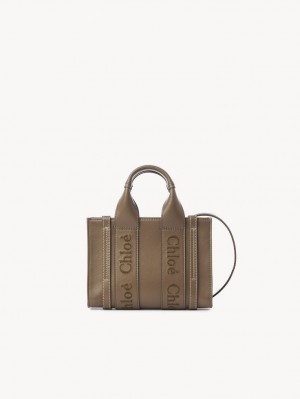 Chloe Mini Woody Crossbody Veske Grønn | CHE-SR13521