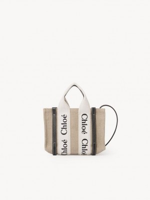 Chloe Mini Woody Crossbody Veske Hvite Blå | CHE-SR13511