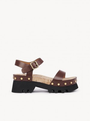 Chloe Owena Platform Sandaler Brune | CHE-SR14161