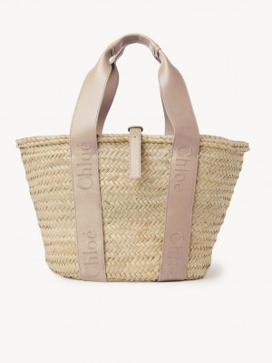 Chloe Sense Medium Basket Tote Veske Beige | CHE-SR13382