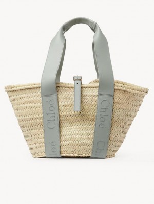 Chloe Sense Medium Basket Tote Veske Grønn | CHE-SR13383