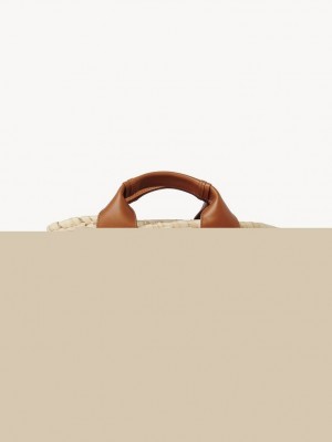 Chloe Sense Small Basket Tote Veske Brune | CHE-SR13320