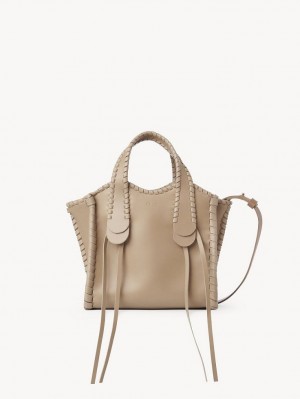 Chloe Small Mony Tote Veske Brune | CHE-SR13400