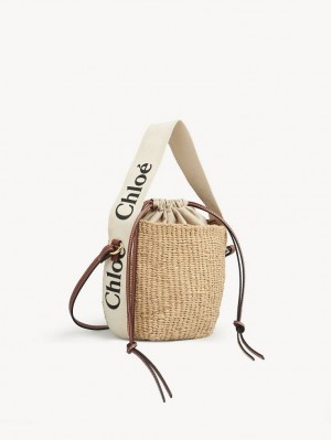 Chloe Small Woody Basket Crossbody Veske Hvite | CHE-SR13609