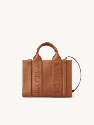 Chloe Small Woody Crossbody Veske Brune | CHE-SR13535