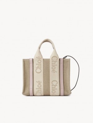 Chloe Small Woody Crossbody Veske Grå | CHE-SR13622