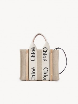 Chloe Small Woody Crossbody Veske Hvite Beige | CHE-SR13490