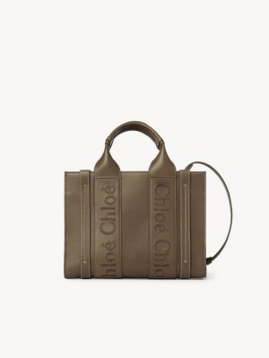 Chloe Small Woody Tote Veske Grønn | CHE-SR13339