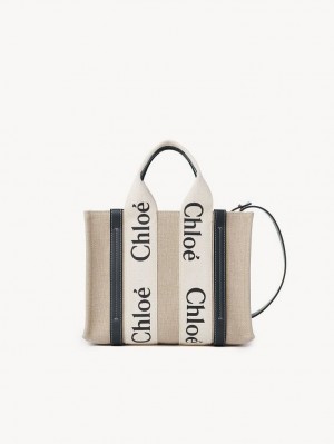 Chloe Small Woody Tote Veske Hvite Blå | CHE-SR13366