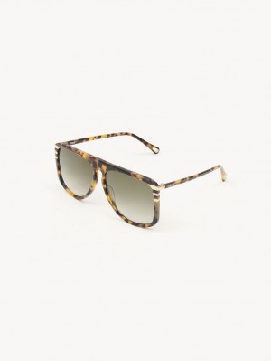 Chloe West Solbriller Havana | CHE-SR14565