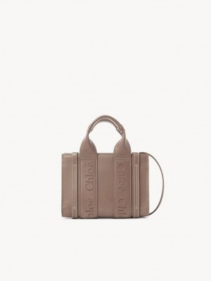 Chloe Woody Tote 1 Mini Vesker Brune | CHE-SR13728