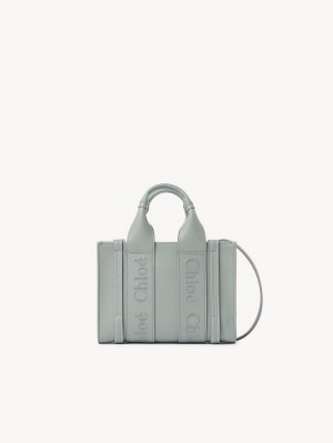 Chloe Woody Tote 1 Mini Vesker Grønn | CHE-SR13697