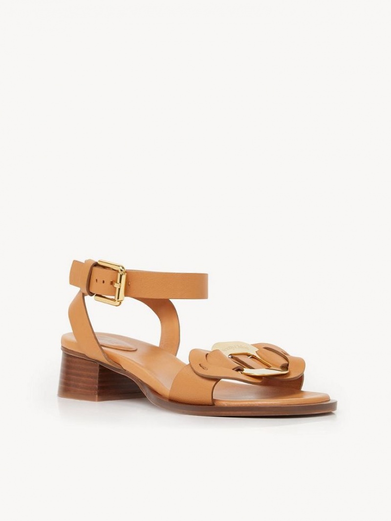 Chloe Chany High-heel Sandaler Brune | CHE-SR14828