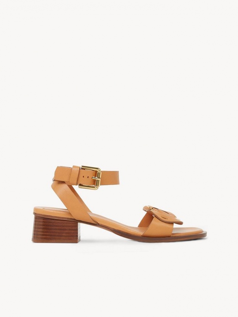 Chloe Chany High-heel Sandaler Brune | CHE-SR14828