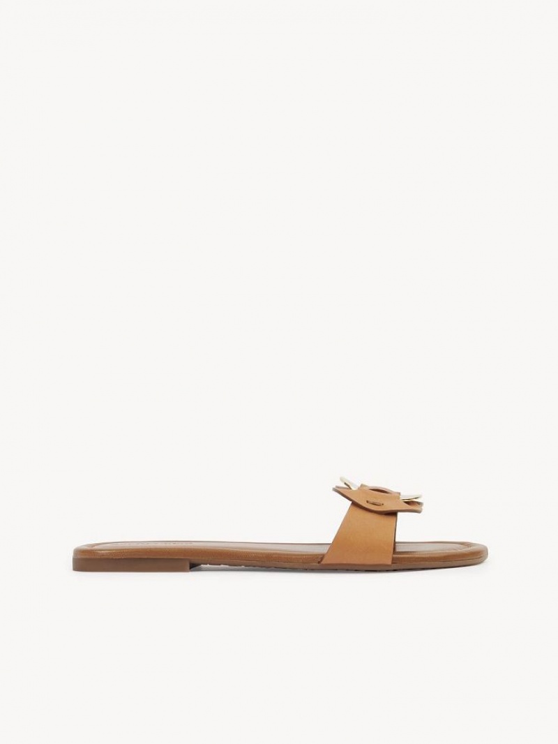 Chloe Chany Mule Flate Sko Brune | CHE-SR14837