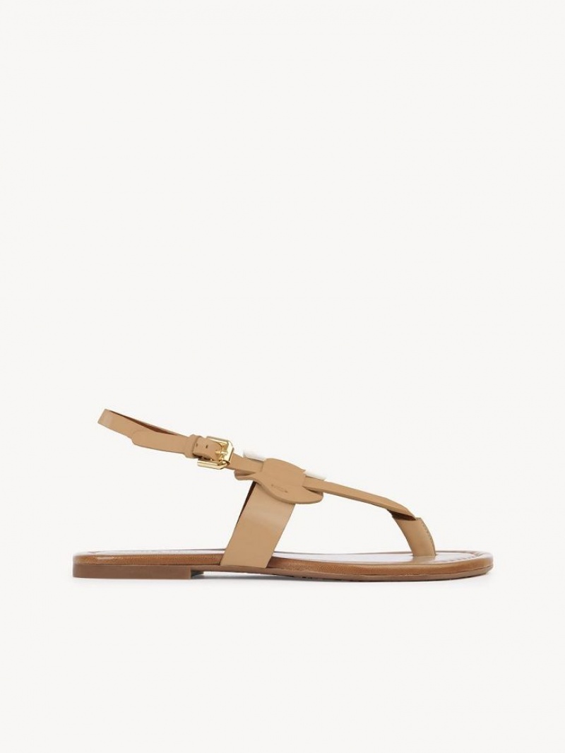 Chloe Chany Sandaler Brune | CHE-SR14824