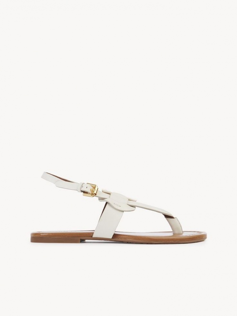 Chloe Chany Sandaler Hvite | CHE-SR14845