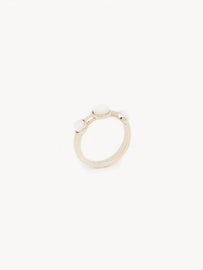 Chloe Darcey Ringer Gull | CHE-SR14412