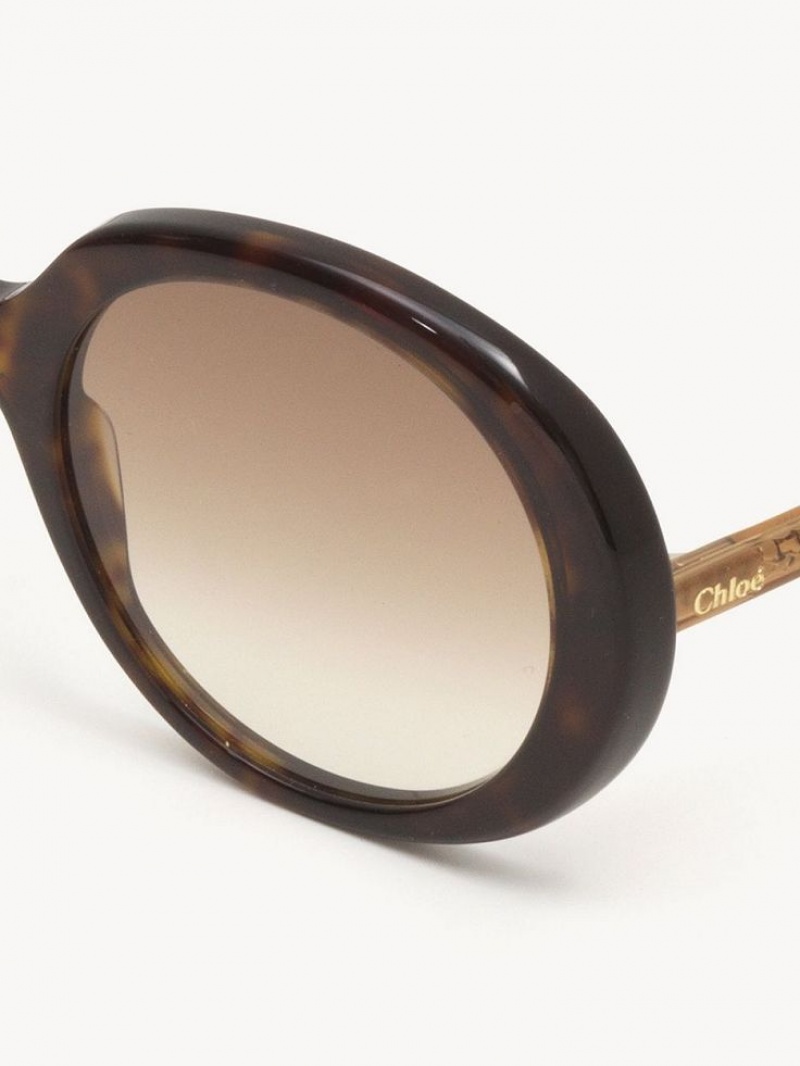 Chloe Esther Solbriller Brune | CHE-SR14529