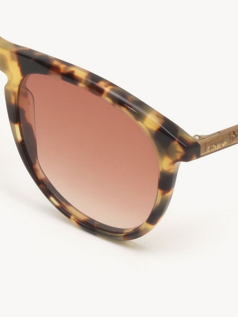 Chloe Esther Solbriller Korall | CHE-SR14504