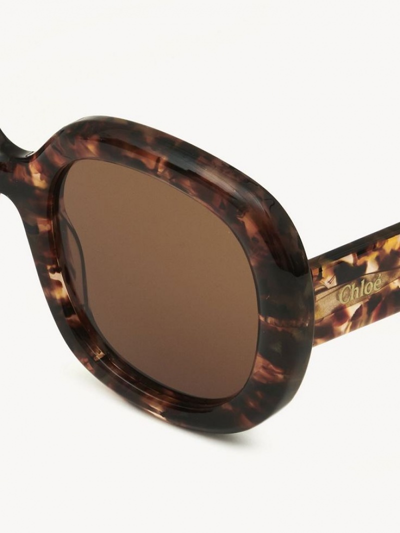 Chloe Gayia Solbriller Marble Havana | CHE-SR14578