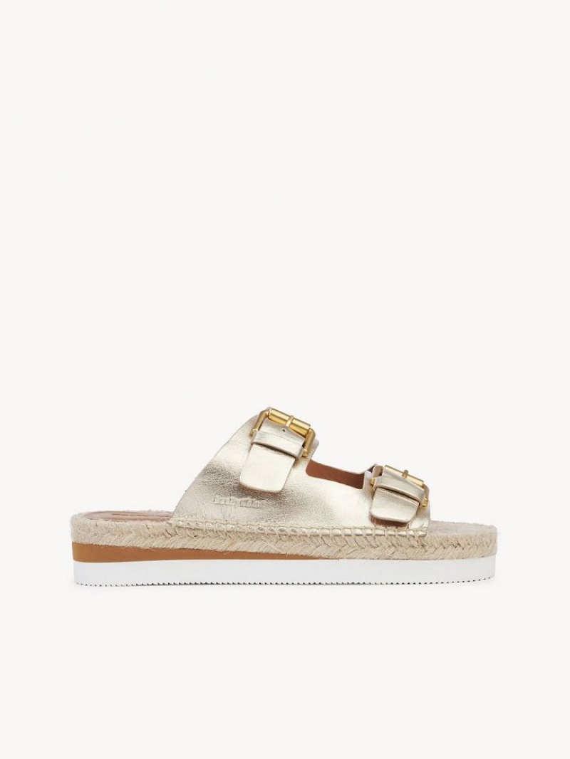 Chloe Glyn Platform Espadrille Sandaler Sølv | CHE-SR14802