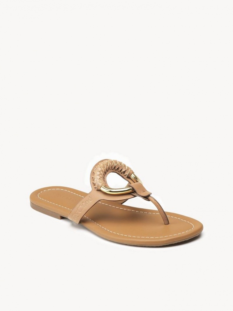 Chloe Hana Flip-flop Flate Sko Brune | CHE-SR14818