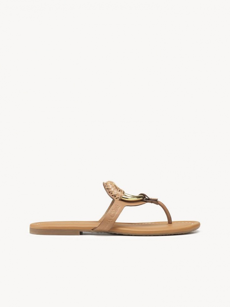 Chloe Hana Flip-flop Flate Sko Brune | CHE-SR14818