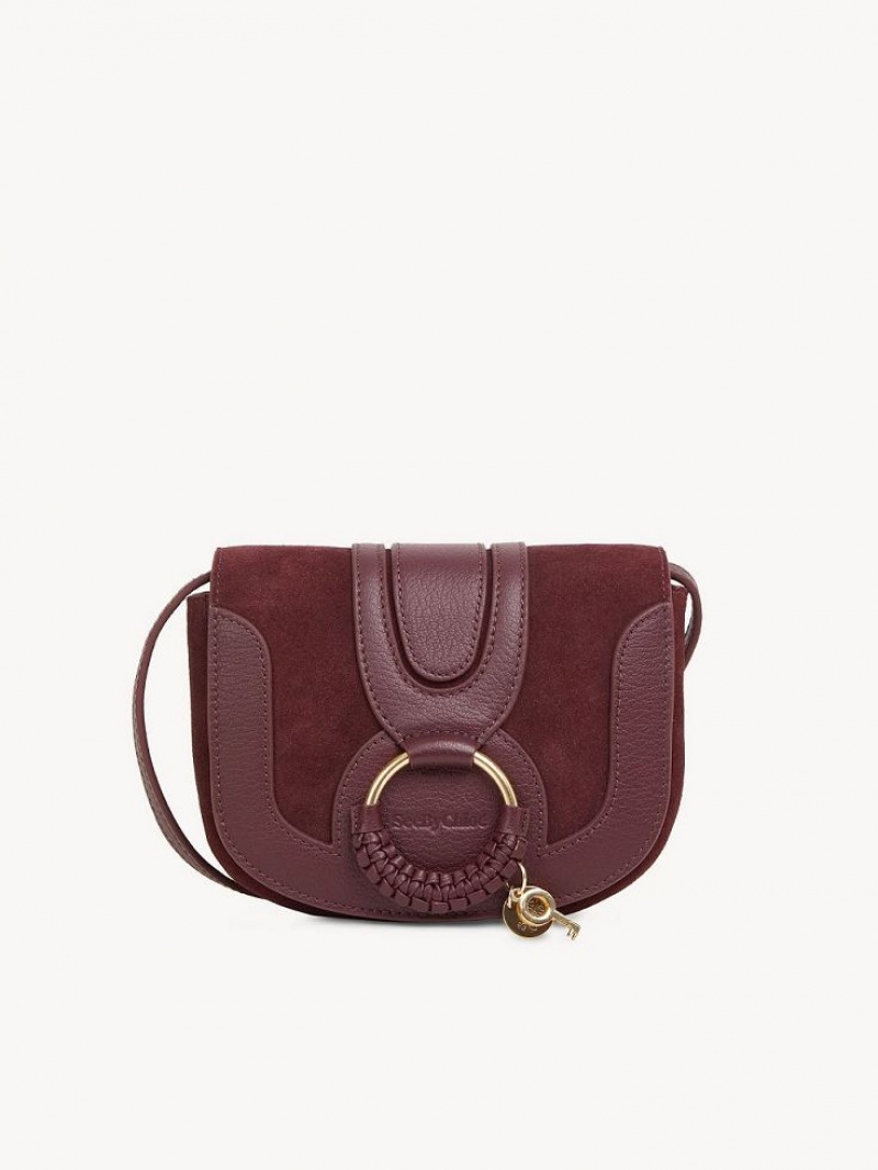 Chloe Hana Mini Vesker Brune | CHE-SR14725