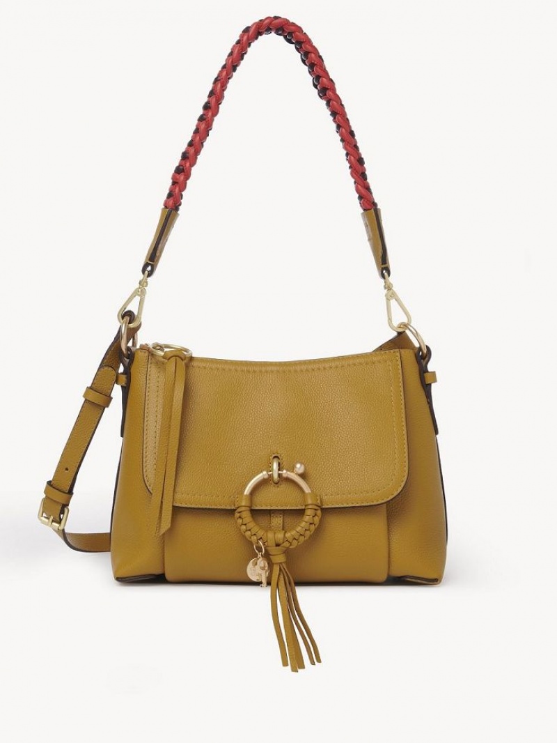 Chloe Joan Small Skulderveske Brune | CHE-SR14648