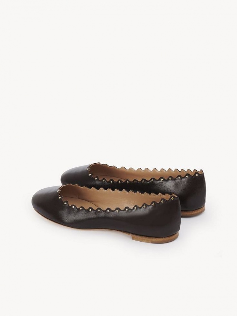 Chloe Lauren Ballet Flat Sjokolade | CHE-SR14253