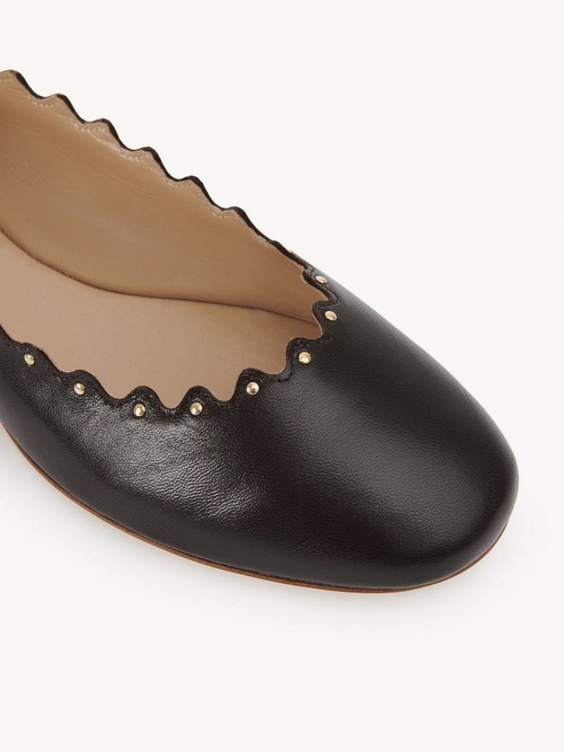 Chloe Lauren Ballet Flat Sjokolade | CHE-SR14253