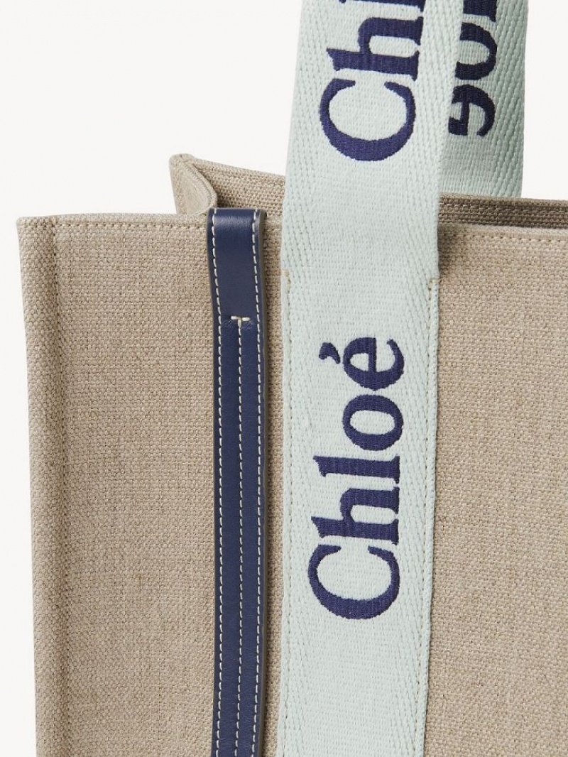 Chloe Medium Woody Tote Veske Grønn Blå | CHE-SR13365