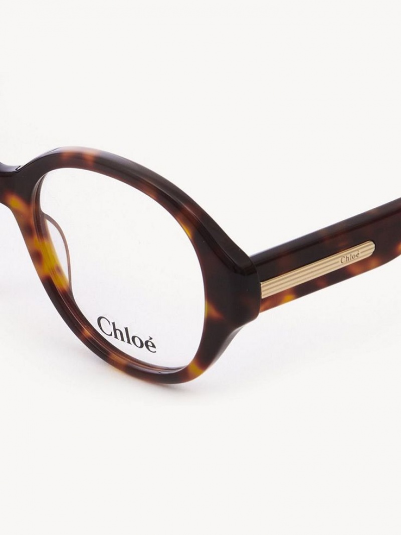 Chloe Mirtha Briller Havana | CHE-SR14583