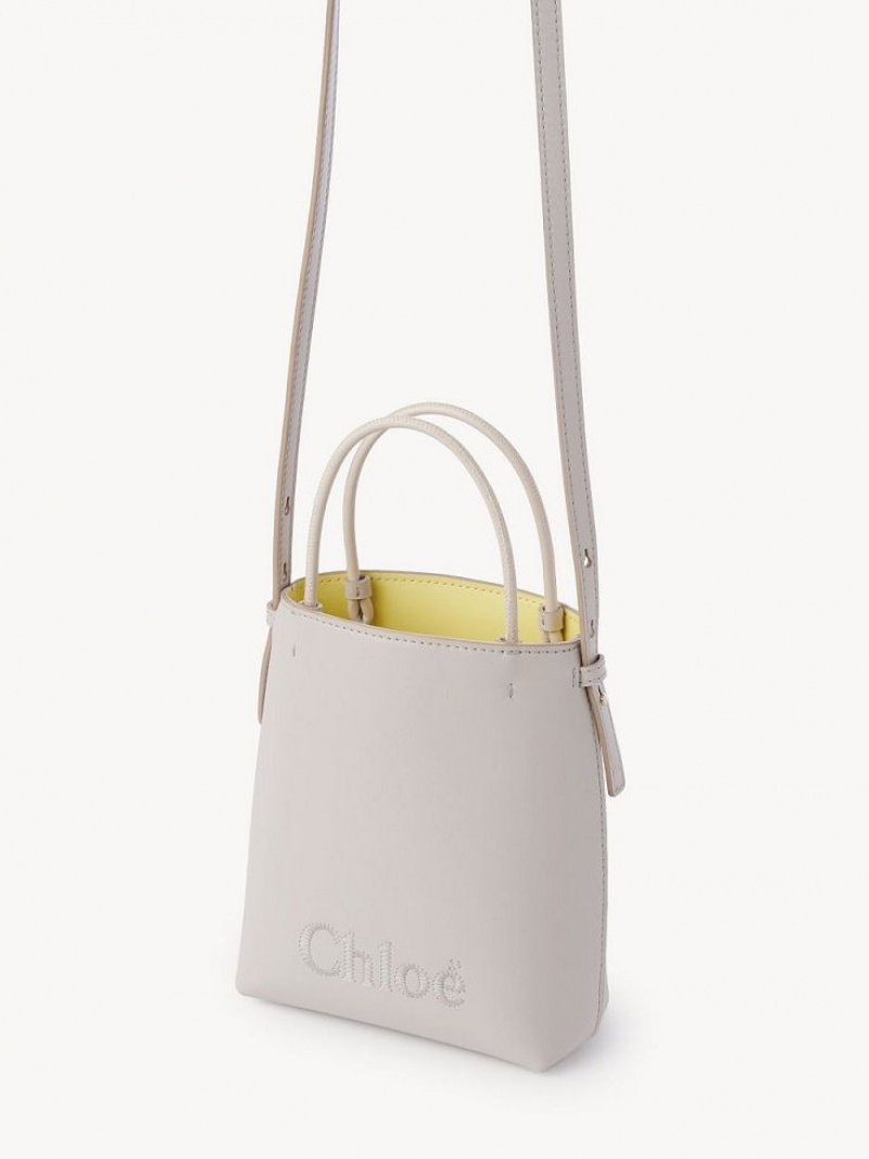 Chloe Sense Micro Crossbody Veske Grå | CHE-SR13581