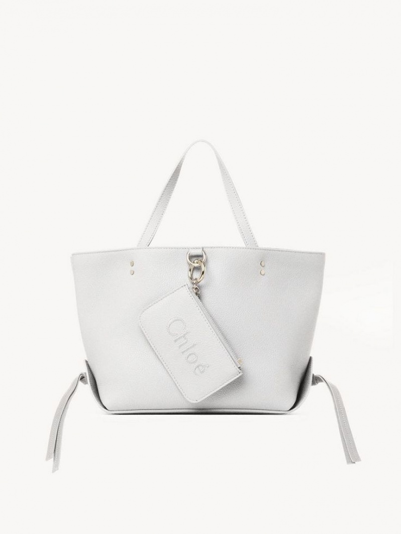 Chloe Sense Small East-west Tote Veske Hvite | CHE-SR13328