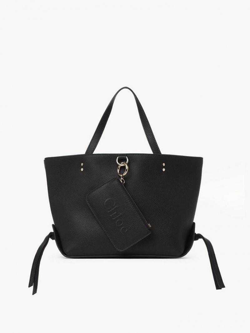 Chloe Sense Small East-west Tote Veske Svarte | CHE-SR13357