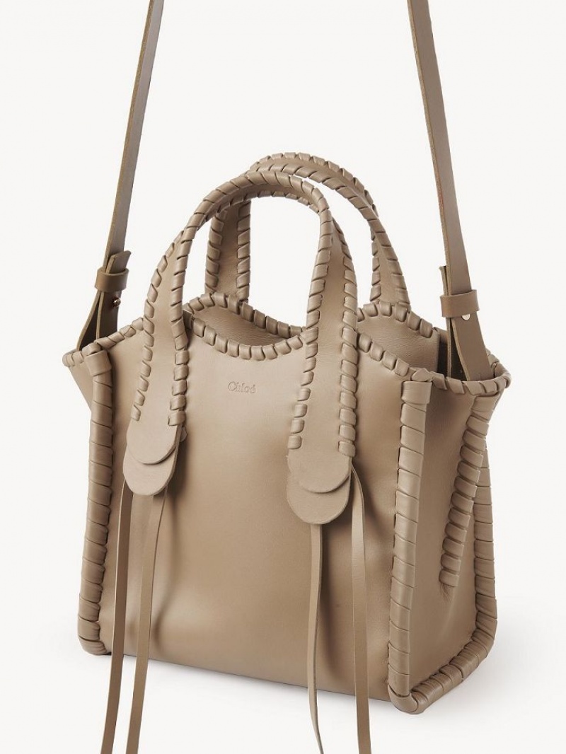 Chloe Small Mony Crossbody Veske Brune | CHE-SR13602