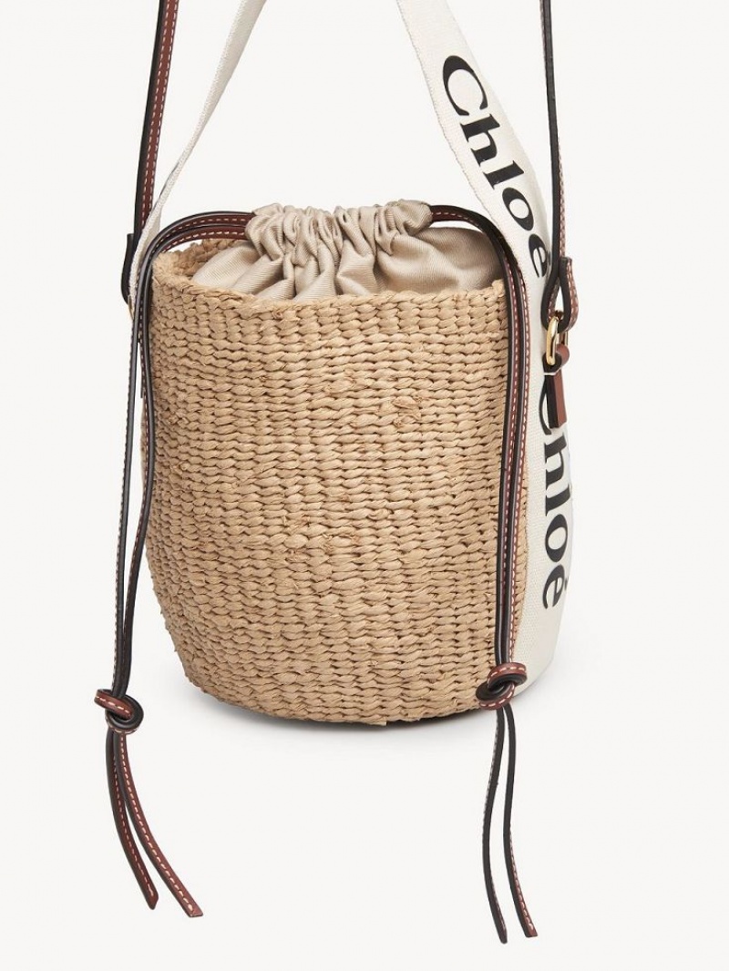 Chloe Small Woody Basket Crossbody Veske Hvite | CHE-SR13609