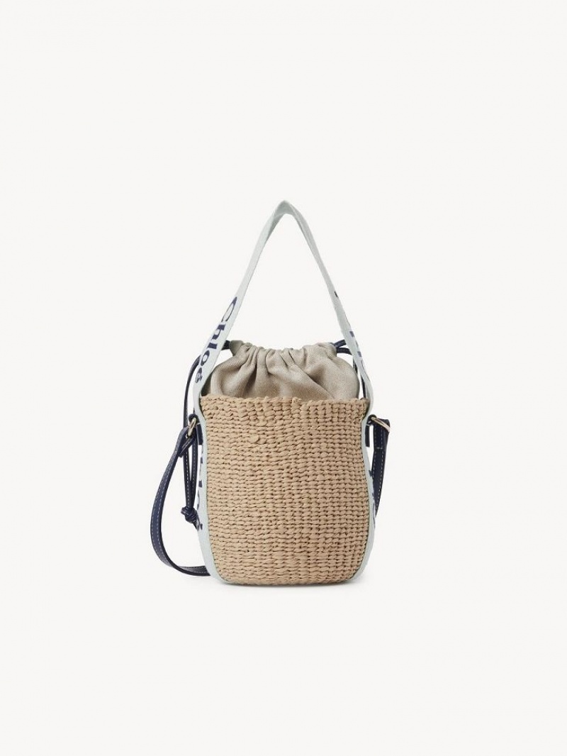 Chloe Small Woody Basket Crossbody Veske Grønn Blå | CHE-SR13617