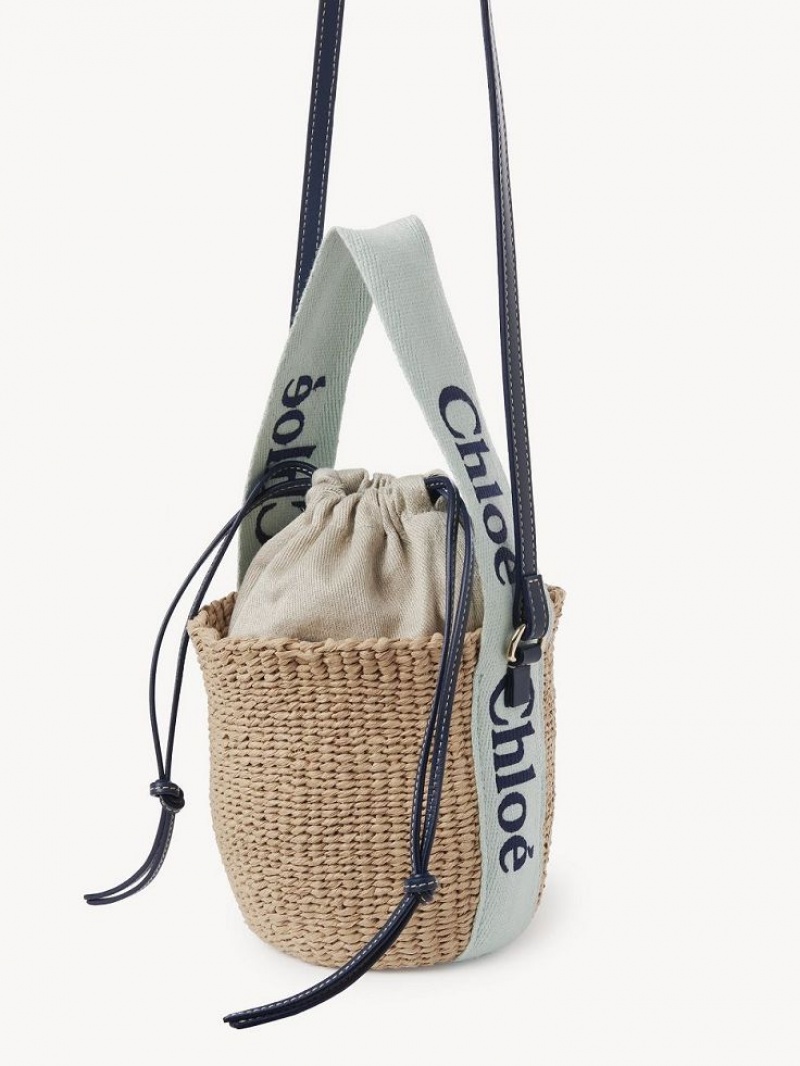 Chloe Small Woody Basket Crossbody Veske Grønn Blå | CHE-SR13617